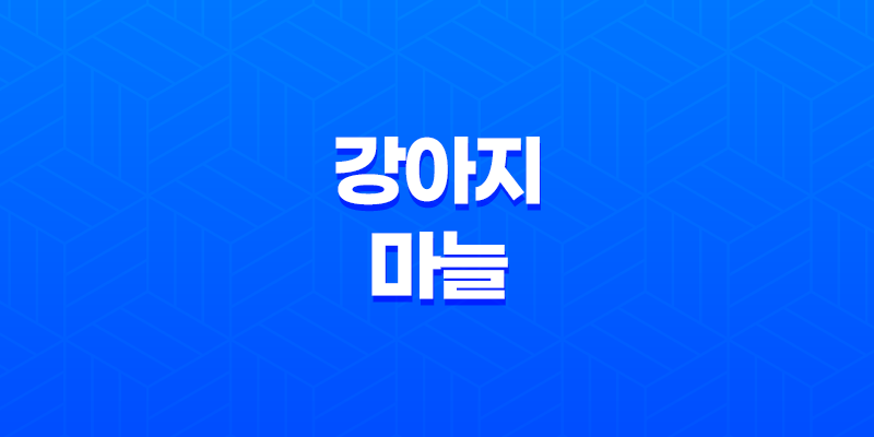 강아지 마늘 먹어도 되나요? 마늘에 대한 증상과 응급처치 방법 안내 7