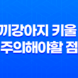 새끼강아지 키울 때 주의해야할 점 33