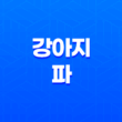 강아지 파 먹어도 되나요? 강아지가 파를 먹었을 때의 증상과 응급 처치 방법 101