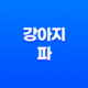 강아지 파 먹어도 되나요? 강아지가 파를 먹었을 때의 증상과 응급 처치 방법 13