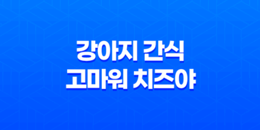강아지 간식 고마워 치즈야 간식추천 후기, 애견 간식 23
