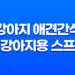 강아지 애견간식 건강한 반려견을 위한 일본 간식 스프 45