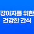 강아지 건강한 간식, 강아지에게 좋은 당근과 오이 간식! 33