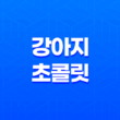 강아지 초콜릿 먹어도 되나요? 강아지 초콜릿 강아지에게 초콜릿을 줘도 될까요? 37