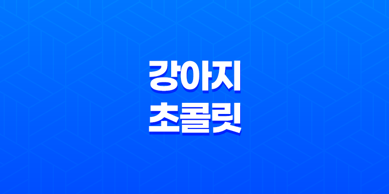 강아지 초콜릿 먹어도 되나요? 강아지 초콜릿 강아지에게 초콜릿을 줘도 될까요? 8 강아지 초콜릿 먹어도 되나요? 강아지 초콜릿 강아지에게 초콜릿을 줘도 될까요? 7