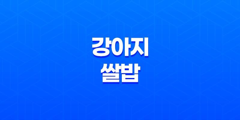 강아지 쌀밥 먹어도 될까요? 8 강아지 쌀밥 먹어도 될까요? 7