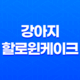 강아지 할로윈케이크로 달콤한 시간을 즐겨보아요! 29