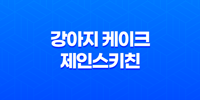 강아지 케이크 제인스키친에서 특별한 간식을 만나다! 7