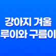 강아지 겨울, 루이와 구름이의 따뜻한 겨울 일상 75