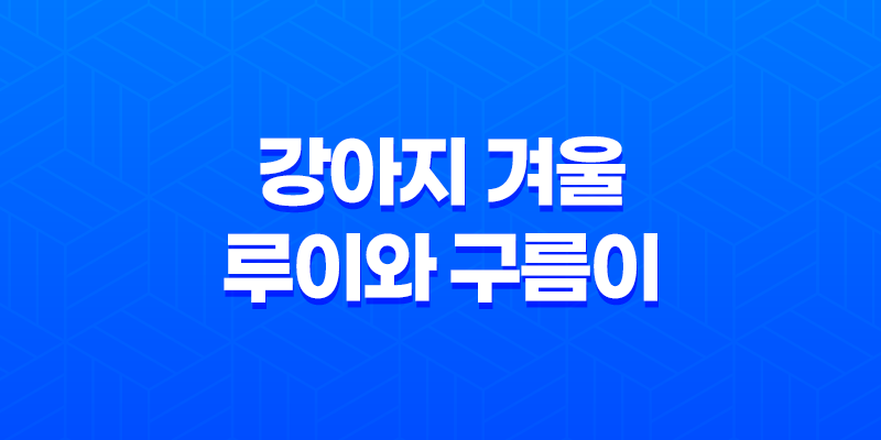 강아지 겨울, 루이와 구름이의 따뜻한 겨울 일상 8 강아지 겨울, 루이와 구름이의 따뜻한 겨울 일상 7