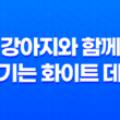 서울 첫눈, 강아지와 함께 즐기는 화이트 데이 77