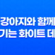 서울 첫눈, 강아지와 함께 즐기는 화이트 데이 95