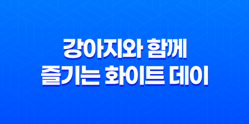 서울 첫눈, 강아지와 함께 즐기는 화이트 데이 8 서울 첫눈, 강아지와 함께 즐기는 화이트 데이 7