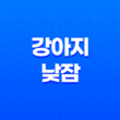 강아지 낮잠, 행복으로 가득한 순간들 23