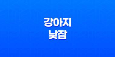 강아지 낮잠, 행복으로 가득한 순간들 47