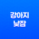 강아지 낮잠, 행복으로 가득한 순간들 69