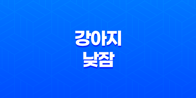 강아지 낮잠, 행복으로 가득한 순간들 8 강아지 낮잠, 행복으로 가득한 순간들 7