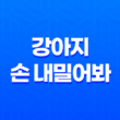 강아지 손 내밀어봐! 루이와 구름이의 일상 71