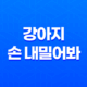 강아지 손 내밀어봐! 루이와 구름이의 일상 71