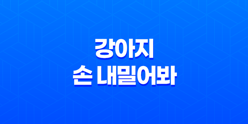 강아지 손 내밀어봐! 루이와 구름이의 일상 7
