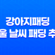 강아지패딩 겨울 날씨 패딩 추천 강아지패션 67