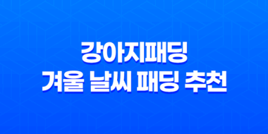 강아지패딩 겨울 날씨 패딩 추천 강아지패션 41