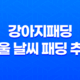 강아지패딩 겨울 날씨 패딩 추천 강아지패션 73