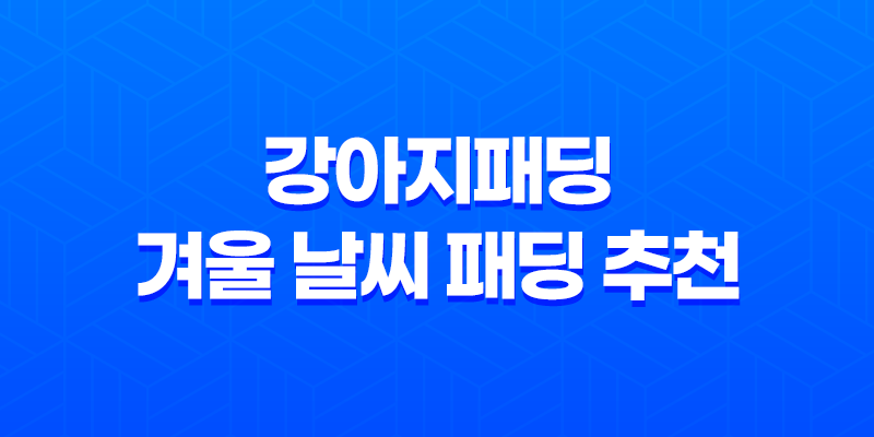 강아지패딩 겨울 날씨 패딩 추천 강아지패션 8 강아지패딩 겨울 날씨 패딩 추천 강아지패션 7
