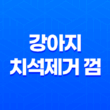 강아지 치석제거 껌, 애견간식 뭐멍냥 덴탈츄 추천! 35