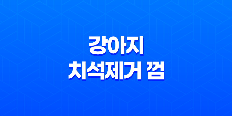강아지 치석제거 껌, 애견간식 뭐멍냥 덴탈츄 추천! 7