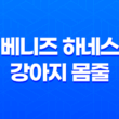 베니즈 하네스 강아지 몸줄 중고판매 - 안락하고 튼튼한 디자인으로 강아지와 산책을 더욱 즐겁게! 115