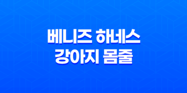 베니즈 하네스 강아지 몸줄 중고판매 - 안락하고 튼튼한 디자인으로 강아지와 산책을 더욱 즐겁게! 55