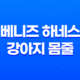 베니즈 하네스 강아지 몸줄 중고판매 - 안락하고 튼튼한 디자인으로 강아지와 산책을 더욱 즐겁게! 115