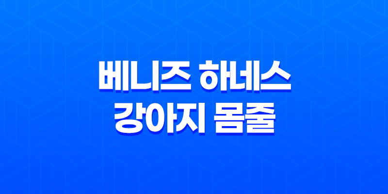 베니즈 하네스 강아지 몸줄 중고판매 - 안락하고 튼튼한 디자인으로 강아지와 산책을 더욱 즐겁게! 8 베니즈 하네스 강아지 몸줄 중고판매 - 안락하고 튼튼한 디자인으로 강아지와 산책을 더욱 즐겁게! 7