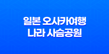 일본 오사카여행 나라 사슴공원과 도다이지의 아름다운 여정 57