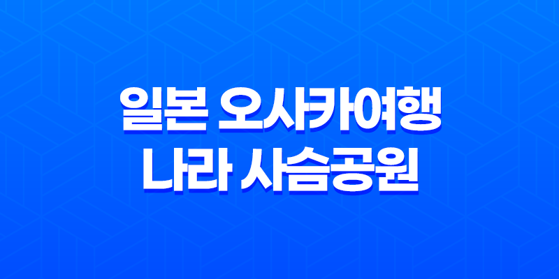 일본 오사카여행 나라 사슴공원과 도다이지의 아름다운 여정 8 일본 오사카여행 나라 사슴공원과 도다이지의 아름다운 여정 7