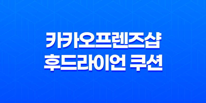 카카오프렌즈샵 후드라이언 쿠션 구매 후기 7