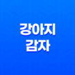 강아지에게 감자를 주는데 주의해야 할 점 29
