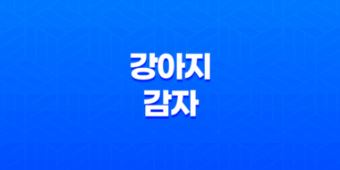 강아지에게 감자를 주는데 주의해야 할 점 43