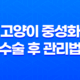 고양이 중성화 수술 후 관리법 및 성격 변화를 통한 생활 향상 33