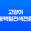 고양이 동맥혈전색전증 증상, 진단, 치료방법 19