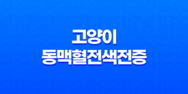 고양이 동맥혈전색전증 증상, 진단, 치료방법 75