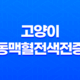 고양이 동맥혈전색전증 증상, 진단, 치료방법 21