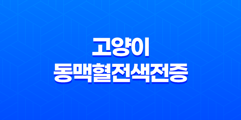 고양이 동맥혈전색전증 증상, 진단, 치료방법 8 고양이 동맥혈전색전증 증상, 진단, 치료방법 7