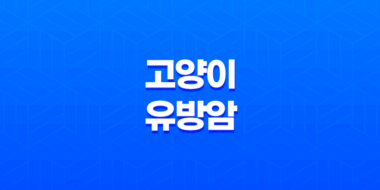 고양이 유방암 치료방법 및 예방방법 39