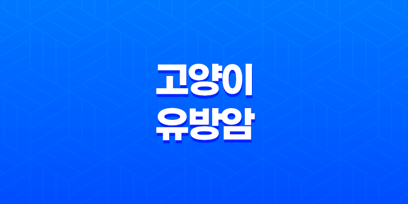 고양이 유방암 치료방법 및 예방방법 8 고양이 유방암 치료방법 및 예방방법 7