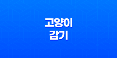 고양이 감기 원인 및 예방하는 방법, 백신 접종 51