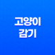 고양이 감기 원인 및 예방하는 방법, 백신 접종 19