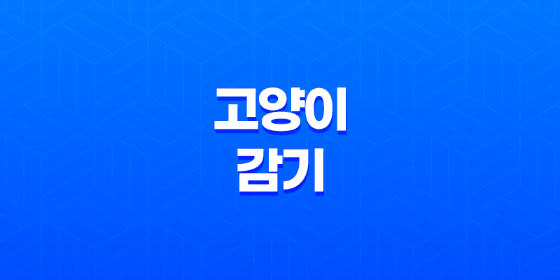 고양이 감기 원인 및 예방하는 방법, 백신 접종 8 고양이 감기 원인 및 예방하는 방법, 백신 접종 7