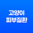 고양이 피부질환 대처법 예방 및 치료 19